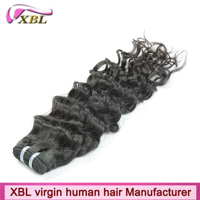 Remy Indian Hair 8A Quality One Donor Hair