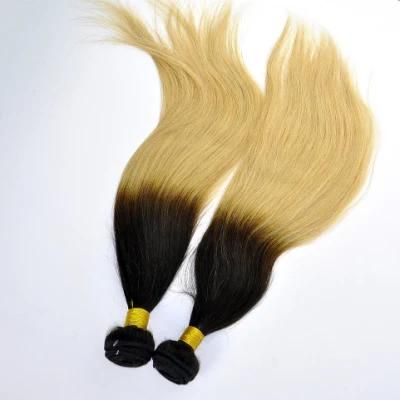 Top Quality Straight Ombre Human Hair Weft