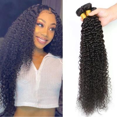 Factory Wholesale Kinky Curly Brazilian Virgin Human Hair Bundles Natural Black 20 Inch