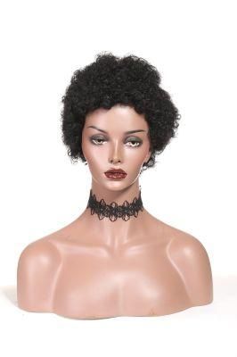 Afro Kinky Curly Lace Front Wig for Black Women