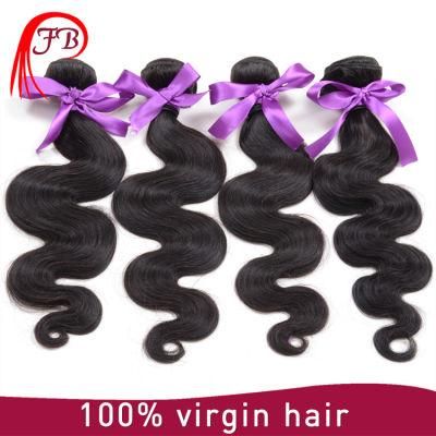 Best Prices 10-30&quot; Inch Brazilian Hair, Body Wave Human Hair Extension, Raw Brazilian Virgin Hair