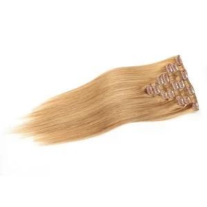 Clip in Hair Extensions Human Hair High Quality Hair Extensions