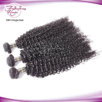 8A Grade Kinky Curly Indian Human Virgin Hair Wig