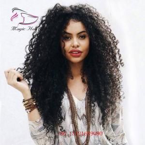 High Quality 360 Lace Front Wigs Kinky Curly Brazilian Virgin Hair Human Hair Wigs