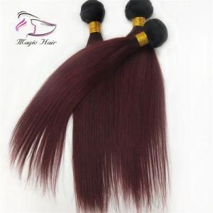 Ombre Brazilian Hair 1b/99j Brazilian Hair Weave Human Hair Weft for Sale