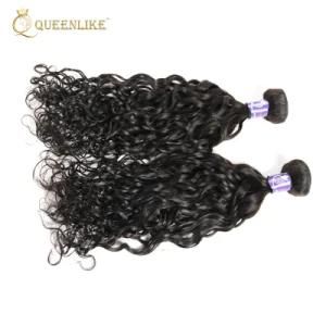 Virgin Burmese Hair Vendor Raw Water Wave Human Hair Bundles