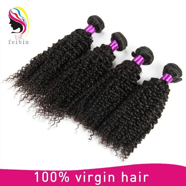 100% Wholesale Virgin Brazilian Human Hair Kinky Curl Hair Bundle