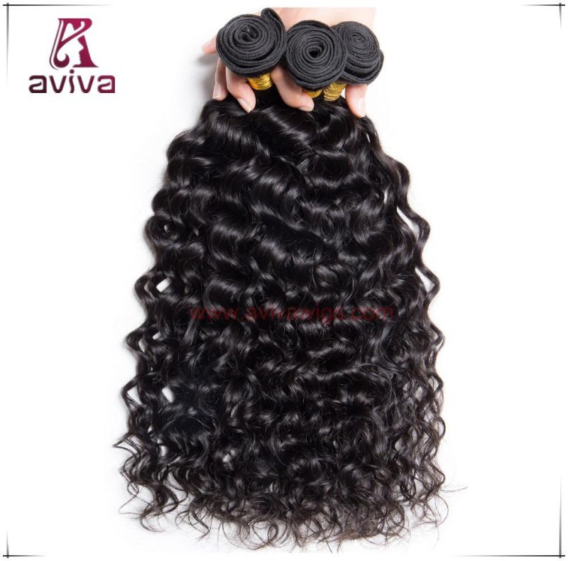 100% Human Hair Extensions Brazilian Virgin Hair Water Curl