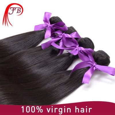 Wholesale 8A Grade 100% Barzilian Human Hair Weaving
