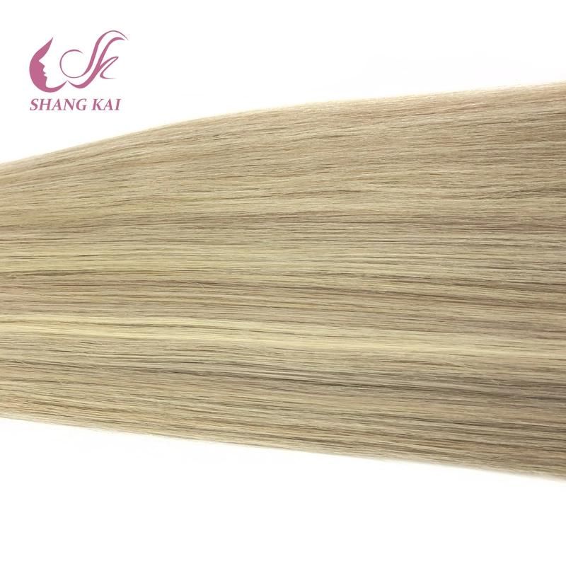 Best Quality Factory Price U-Tip Hair Extension