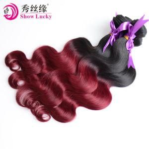 China Factory Wholesale Best Quality Unprocessed Virgin Ombre Malaysian Human Hair