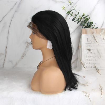 Free Sample Virgin Straight 13X4 Brazilian Lace Front Wig 100% Lace Front Wig Human Hair