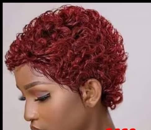 Wholesaler Wig Indian Human Hair Short Curly Women Wigs Human Hair Machine Wig