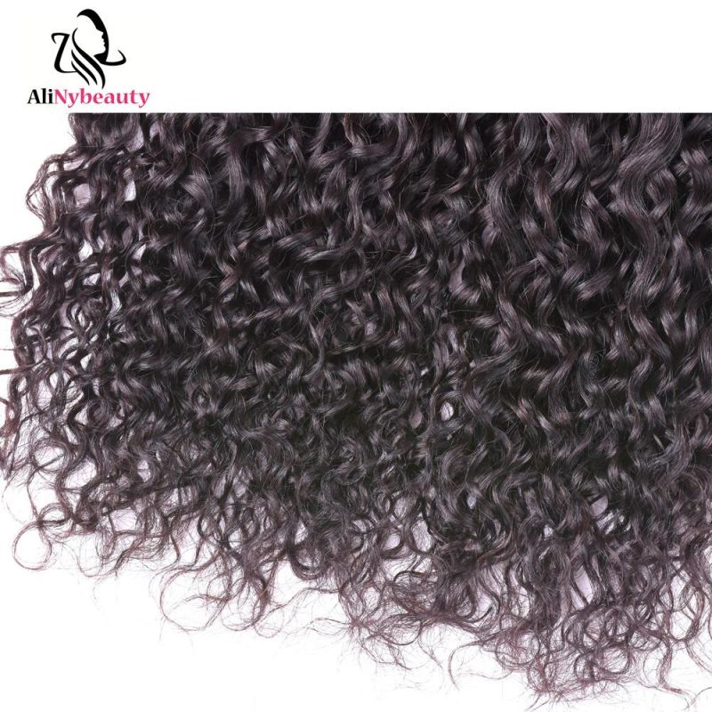 Wholesale Price AliNybeauty Afro Jerry Curly Indian Hair Weaves