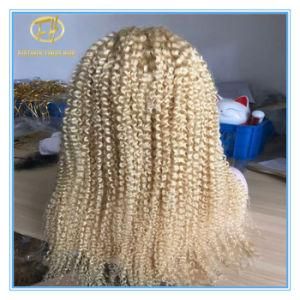 Top Quality Hot Sales #613 Blond Color Curly Human Hair Lace Wigs with Factory Price Wig-037