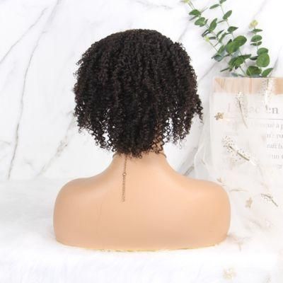 Kinky Curly Lace Front Brazilian Short Curly Human Hair Wigs Pixie Cut Bob Wig