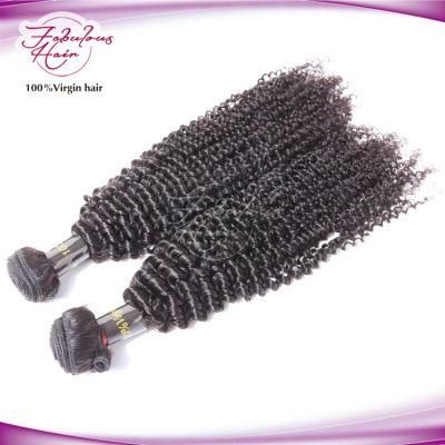 8A Afro Kinky Curly Brazilian Hair Extension Hair