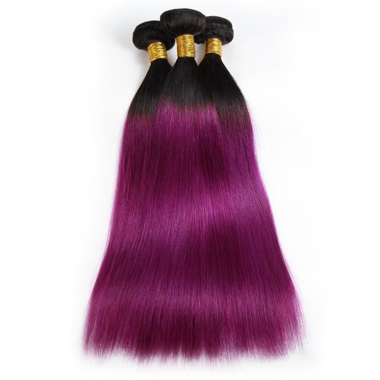 Bone Straight Human Hair Bundles Brazilian Hair Weave Extension #T1b/Purple