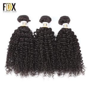 Mink Brazilian Human Raw Virgin Kinky Curly Hair Bundles Vendors