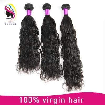 Wholesale Virgin Brazilian Hair Lace Fronta Remy Hair Water Wave, Water Wave Human Hair Virgin Bundles