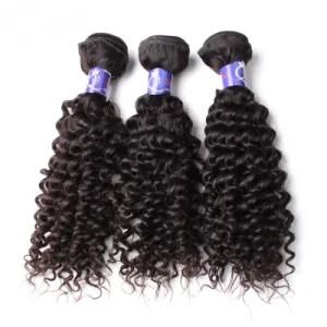 Factory Supply 100 Human Curly Virgin Hair Bundles