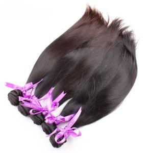 Wholesale Virgin Indian Raw Guangzhou Women Human Hair Bundle