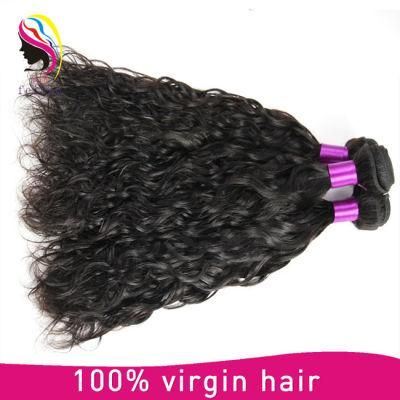 Top Quality Brazilian Human Natural Wave Extensions