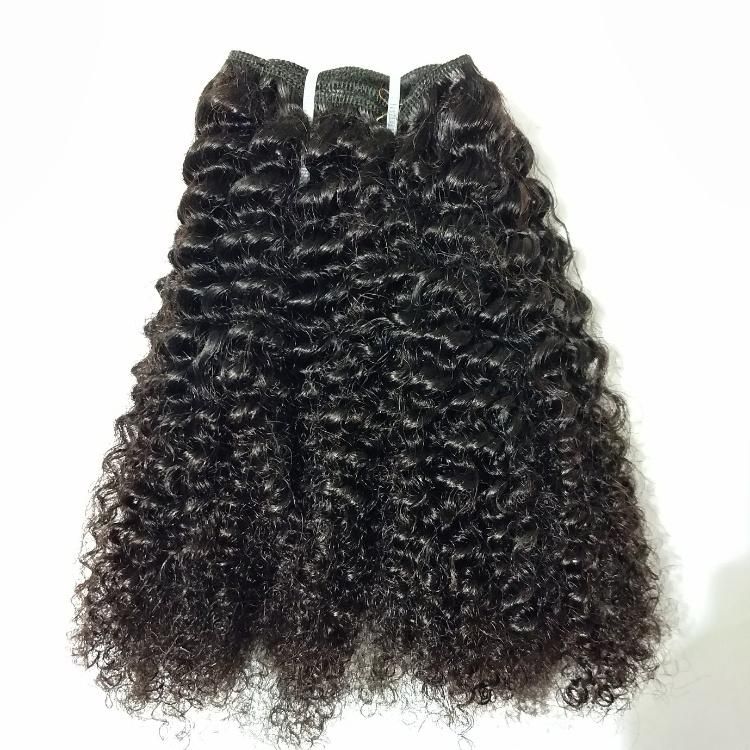 Brazilian Human Hair Extension Afro Kinky Curly Hair