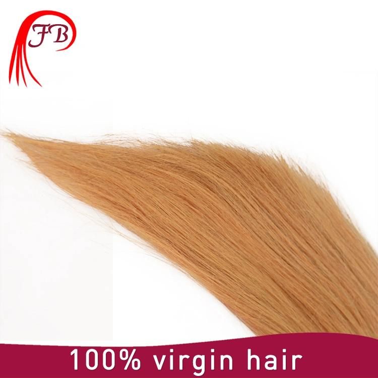 Wholesale Top Quality Barzilian Huamn Omber Straight Remy Hair
