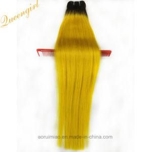 Silky Natural Ombre Remy Hair Double Wefts Colored Straight Brazilian Human Hair