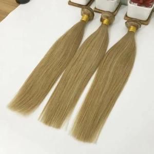 8A Brazilian 100% Human Hair Wigs Customized 27# Silky Straight Extension