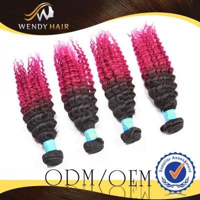 New Arrival Virgin Indian Remy Ombre 100% Human Hair