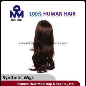 Lady Wig Front Lace Synthetic Wig