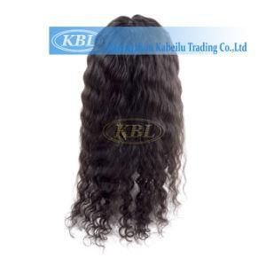 Brazilian Human Hair Front Lace Wig