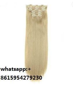 Human Hair Clip in Extension Light Color Long Straight Hair