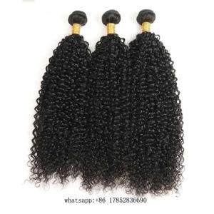 Peruvian Raw Inaian Brazilian Cuticle Aligned Hair Remy Human Hair Jerry Curly Hair Extensioon Hair Weft