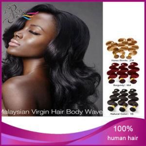 100% Human Hair Top Quality Human Hair