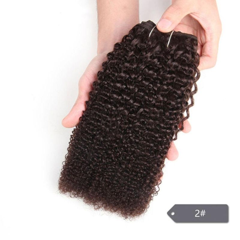 Afrox Kinky Weave Curly Human Hair Bundle Ombre Human Hair Weave Bundles #27 #30 1b# Red# Remy Hair Extensions