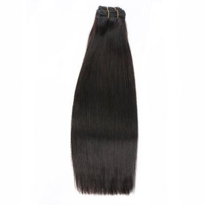 Free Sample Virgin Brazilian Raw Virgin Cuticle Aligned Human Hair Bundles