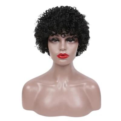 Cheap Price 100% Virgin Human Hair Curly Wig