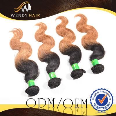 Wendy New Two Tone Virgin Remy Human Hair