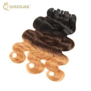 Raw Cuticle Aligned Virgin Original Brazilian Ombre Human Hair