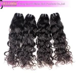 Promotion Price Fast Delivery Water Wave Cambodian Virgin Human Hair