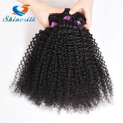 Wholesale Brazilian Popular Human Hair Kinky Curly Remy Hair Produces