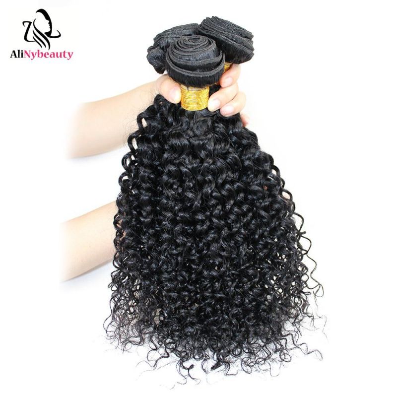 Alinybeauty Unprocessed Grade 9A Brazilian Malaysian Jerry Curly Virgin Hair Extension
