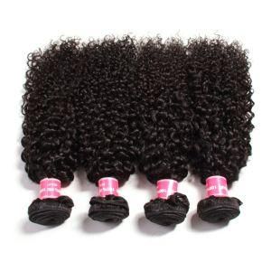 Natural Black Afro Curly Kinky Curly Human Hair Weave