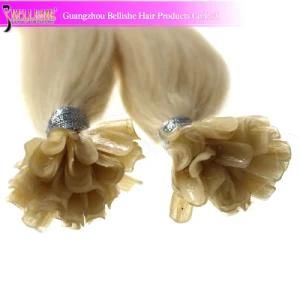 Various Colors Prebonded Hair Extension U Tip/Nail Hair Keratin Hair