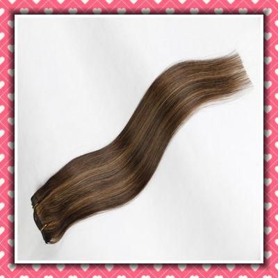 Hot Sale Human Hair Clip-in Extensions Silky 24inch Piano Color