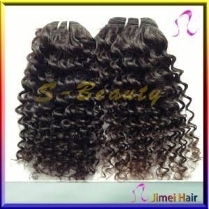 Curly Virgin Malaysian Weaving Hair (SB-M-CW)