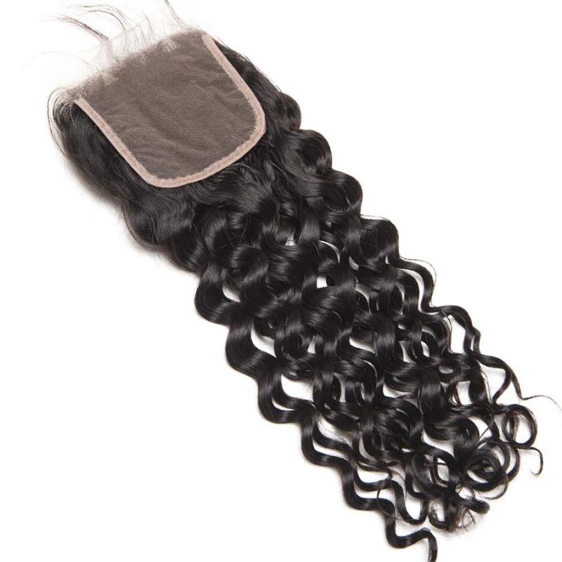 Alinybeauty 10A Water Wave Closure, 4 by 4 Hair Closure Wholesale Price Overnight Shipping